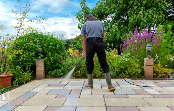 Best Animal Enclosure Cleaning  in East Marion, NY